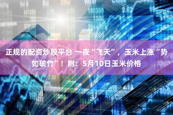 正规的配资炒股平台 一夜“飞天”，玉米上涨“势如破竹”！附：5月10日玉米价格